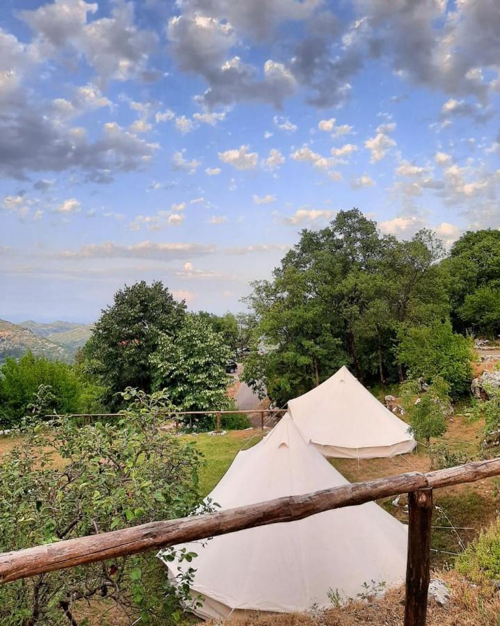 ホテル Camp Oaza,Lipa ツェティニェ エクステリア 写真
