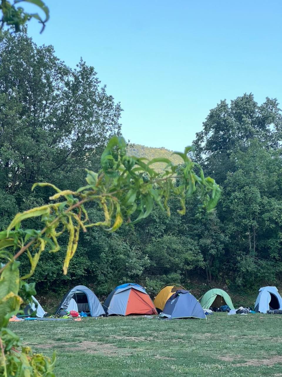 ホテル Camp Oaza,Lipa ツェティニェ 部屋 写真